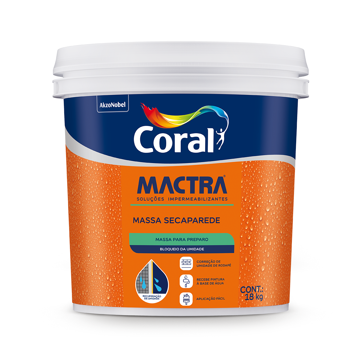 Coral Mactra Massa SecaParede